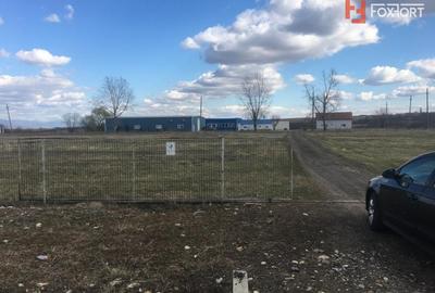 Spațiu industrial, de 1,000 mp, în Sacoșu Mare - 7