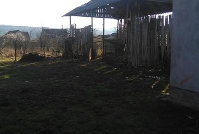 Casă cu 6 camere cu Teren 2000 Mp în Brusturi - 1