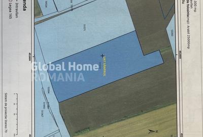 Teren Construcții intravilan de 25000 mp, în Sânpaul - 5