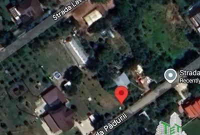 Teren 2000mp intre case langa Padurea Teghes - 2