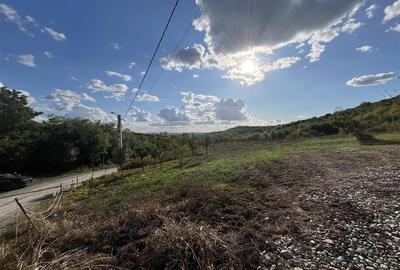 RECO Teren 4300 mp Podgoria-Oradea la 10 minute de centru - 10