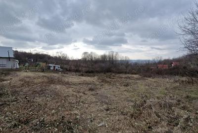 Teren de 1353 mp, în Seciu