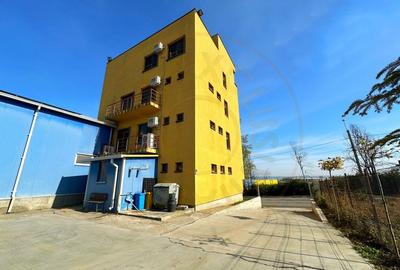 Inchiriere Cladire multifunctionala Vama Pitesti Inchiriere Cladire multifunctionala Vama Pitesti - 4