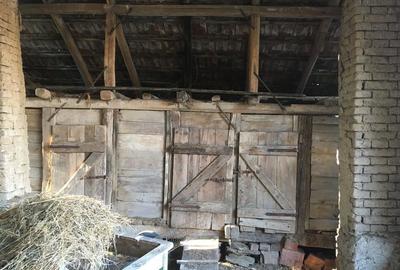 Casă cu 3 camere cu Teren 2000 Mp în Tirol - 5