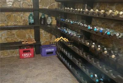 Casă individuală cu 6 camere cu Teren 700 Mp în Central - 20