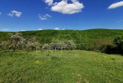 Teren Construcții extravilan de 680 mp, în Budeasa Mică - 2