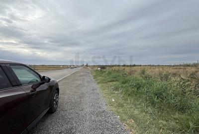 Teren Construcții intravilan de 15000 mp, în Ionești - 11