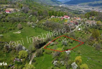 Teren de 2253 mp, în Cepari - 3