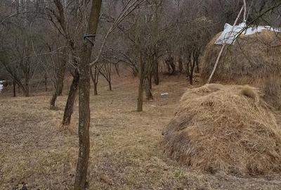 Teren de 1700 mp, în Olănești - 2