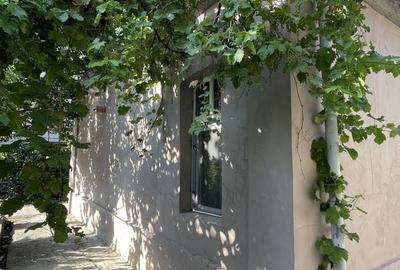 Casa + Anexa | Traian | Pache | Popa Nan | 400 mp- 262 curte - 9