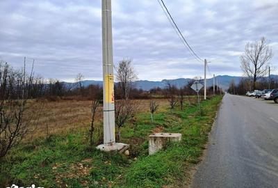 Teren de 2051 mp, în Alimpești - 6