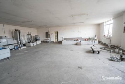 Laboratoare pentru microproductie - 3