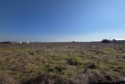 Teren agricol intravilan de 555 mp, în Corbu - 5