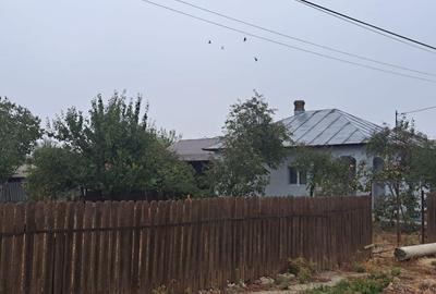 Vand casa in comuna Radovanu - 16