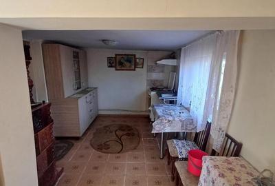 Casa sat NEDELEA + teren 2660 mp - 12