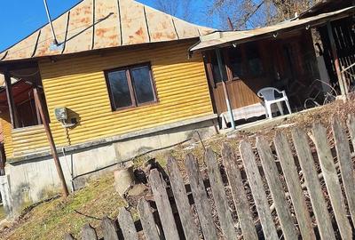 Casă cu Teren 810 Mp în Provița de Jos - 2