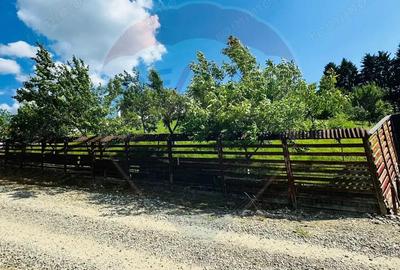 Teren de 1600 mp, în Sighetu Marmației - 3