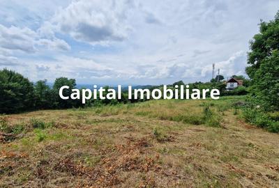 Teren Baia Sprie: 5143 mp, Parcelabil, Comision 0! - 2
