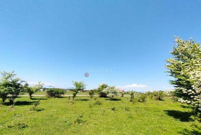 Teren de 1333 mp, în Sânpetru