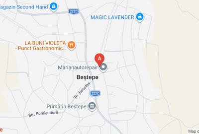 Teren agricol extravilan de 20000 mp, în Beștepe - 1