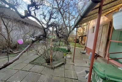 Casă cu 3 camere în Pârneava - 5