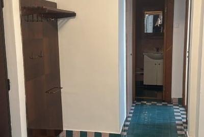 Apartament cu 3 camere semidecomandat, mobilat în Tineretului - 10