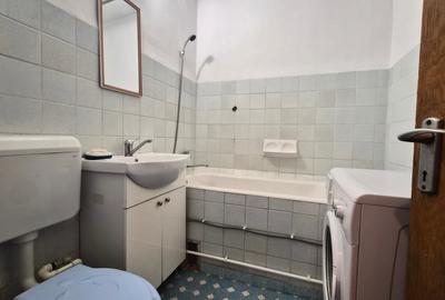 Apartament cu 2 camere semidecomandat în Brotăcei - 15