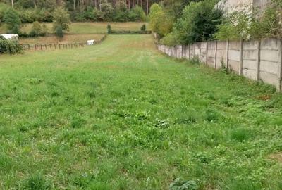 Casă cu 6 camere în Central - 4