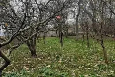 Casă cu 2 camere în Rediu - 1