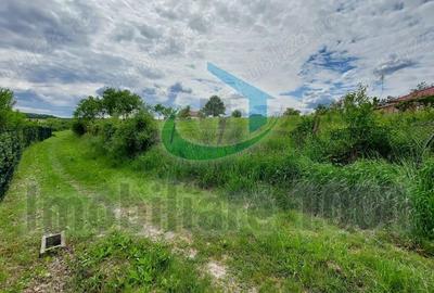 Teren de 2732 mp, în Șomcuta Mare - 1