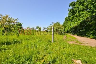 Teren intravilan situat in zona Padurea Baneasa - 4