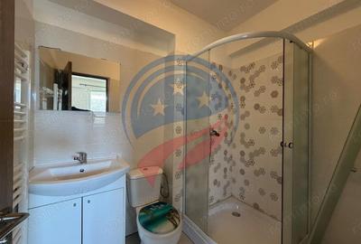 Garsonieră semidecomandată în Cornitoiu - 3