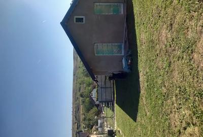 Casa de vacanta Calinesti Arges - 2