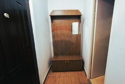 Apartament cu 1 camere semidecomandat, mobilat în Vasile Aaron - 3