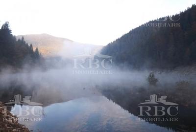 Teren cu constructii cu deschidere la lacul Dragan - 19