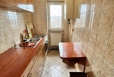 Apartament cu 2 camere decomandat în Beba Veche - 4