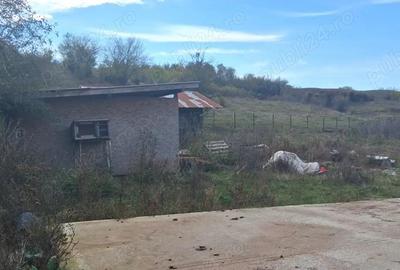 Ferma de vanzare , zona Dambu - 5