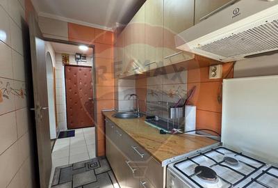 Apartament de inchiriat Dr Taberei/ Parcul Moghioros/Mili... - 7