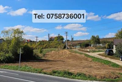 Teren de 919 mp, în Marghita