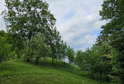 Casă cu 3 camere în Provița de Sus - 1