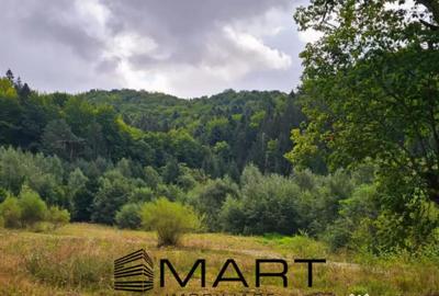 Teren în Central - 3