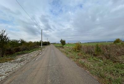 Darvari Ciorogarla Str Tineretului 2 loturi 500 mp zona in dezvoltare - 1