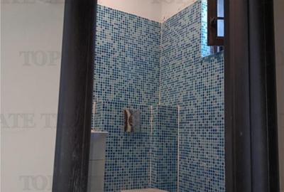 Vila cocheta, 5 camere si garaj 177.5mp, 250mp teren, cu toa - 3