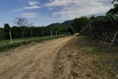 Teren de 2200 mp, în Romos - 3