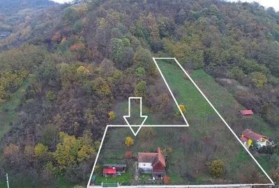 De vanzare Casa cu teren 3500MP in Sabisa/Maramures - 3