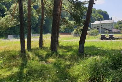 Teren intravilan 1.500 mp in Sacele – utilitati, platforma betonata si potential - 2