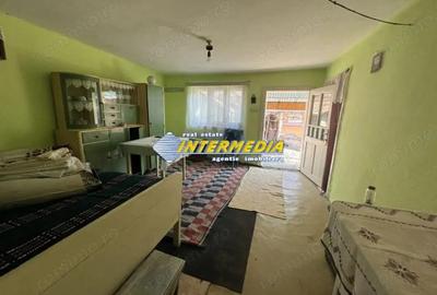 Casa in Cricau cu 3 camere de vanzare teren de 1300 mp - 15