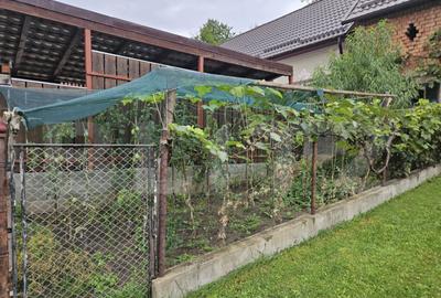 Casa la cheie, teren de 1600 mp, sat Macau, schimb cu aparta - 2