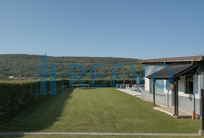 Proprietate pentru investi?ie cu Piscina in Hemeiu? - 8