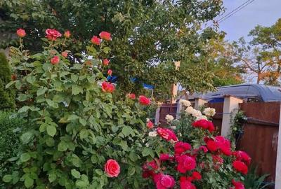 Casă în Săbăreni - 4